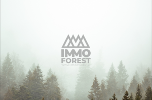 Immoforest - perka mišką.